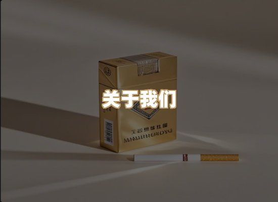 关于云歌烟网
